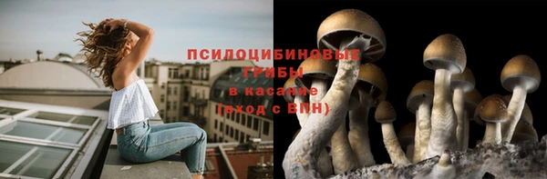mix Верхний Тагил