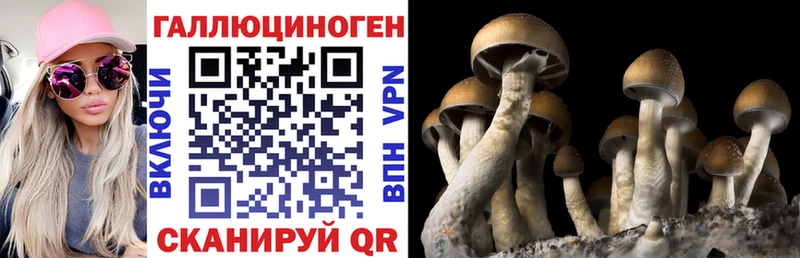 Псилоцибиновые грибы мухоморы  Канаш 